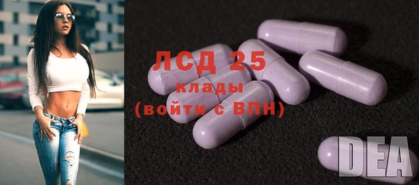 ешки Арсеньев