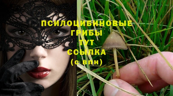 дурь Аркадак
