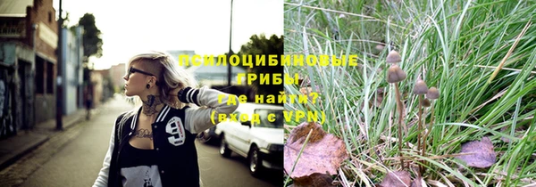 ешки Арсеньев