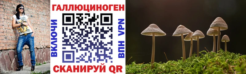 hydra маркетплейс  Кулебаки  Галлюциногенные грибы MAGIC MUSHROOMS 